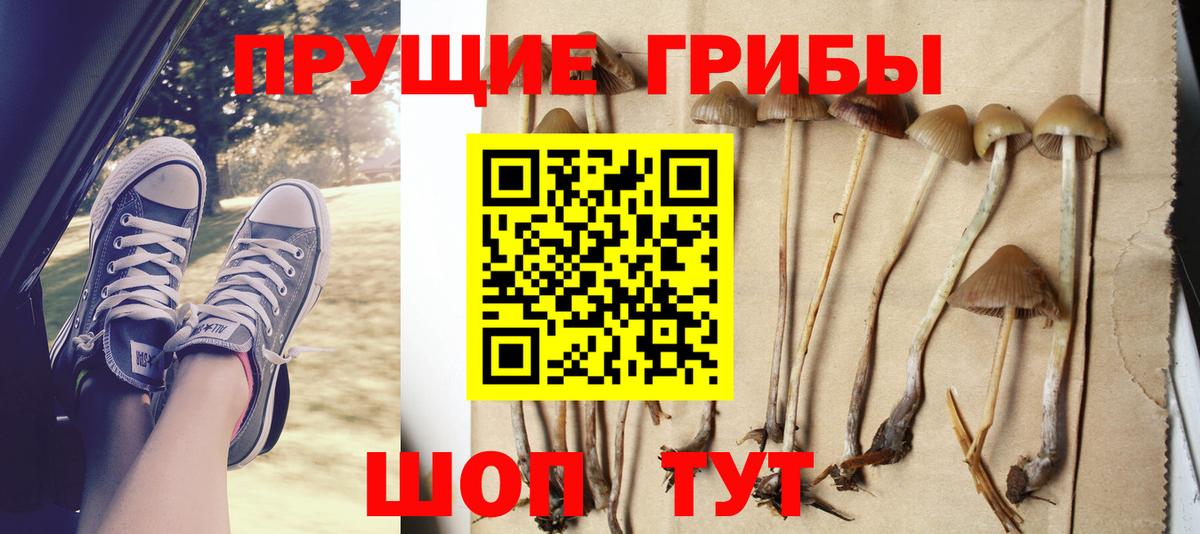 дарнет шоп  Вход с VPN  Псилоцибиновые грибы Cubensis  Зеленогорск  Галлюциногенные грибы ЛСД 