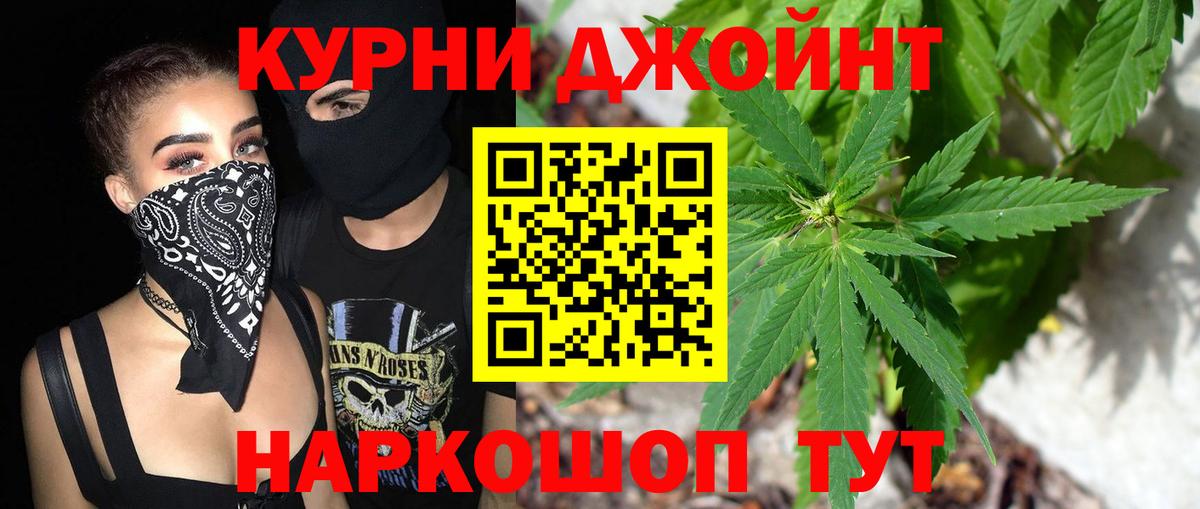 Конопля планчик Зеленогорск